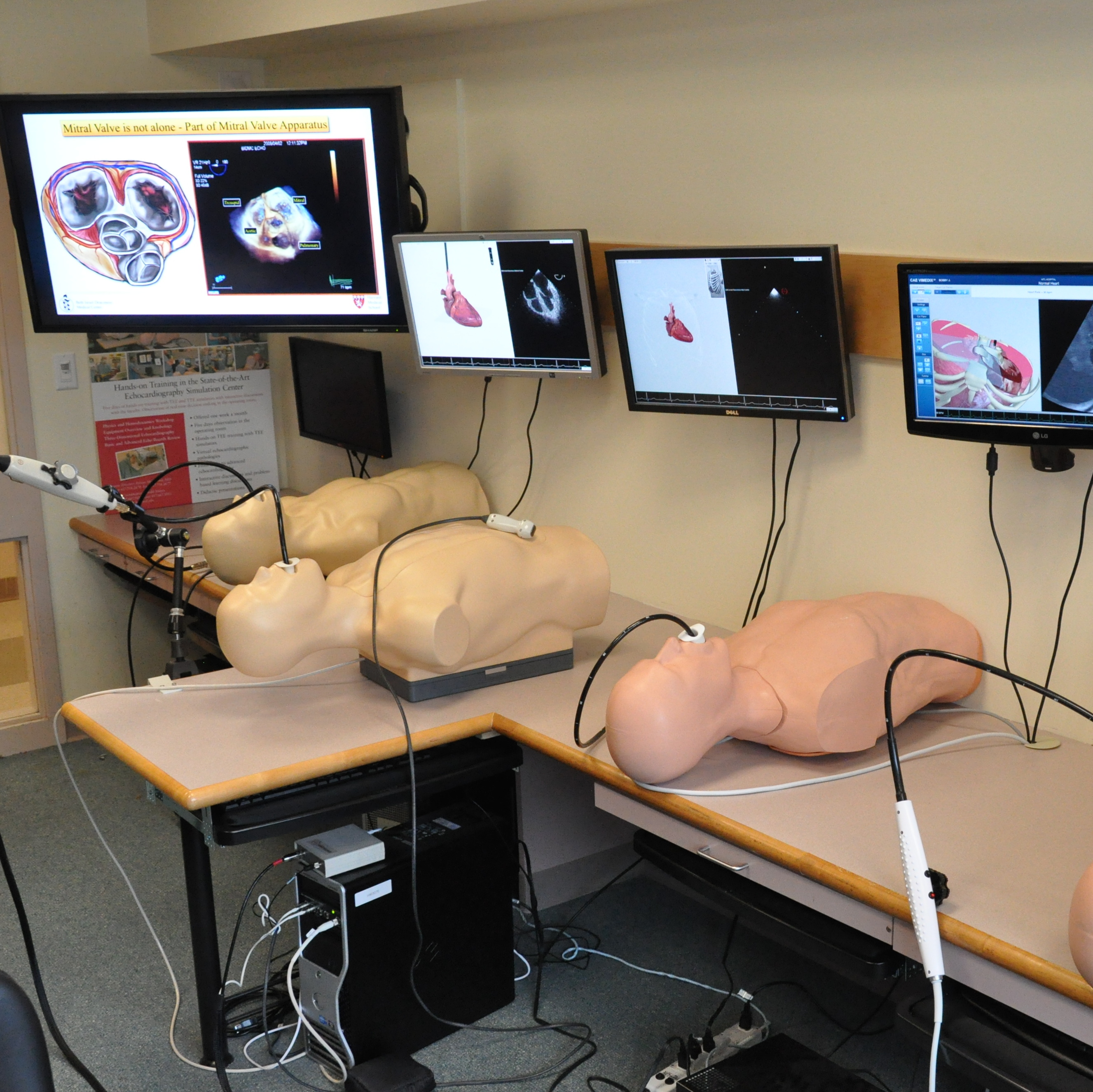 Simulation | Valve Research Group
