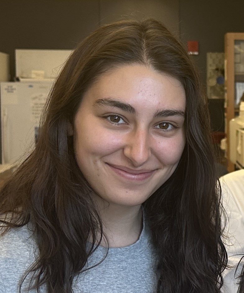 Intern Students gyongyi szabo