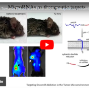 video by Dr. Slack