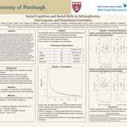 Social Cognition and Social Skills in Schizophrenia: Convergence and Functional Correlates